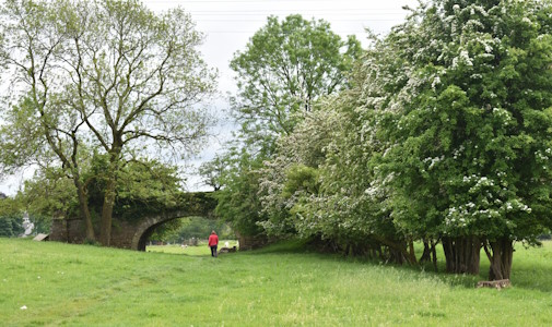 Person walking under bridge on the Sizergh castle loop