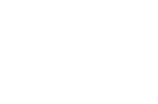 access it icon white