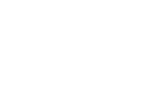 enjoy it icon white