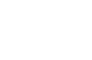 paddle it icon white