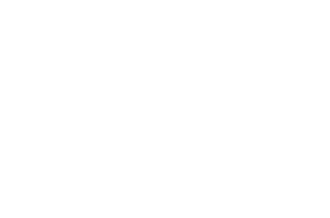 ride it icon white