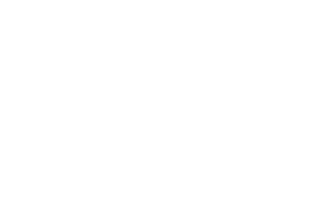 walk it icon white