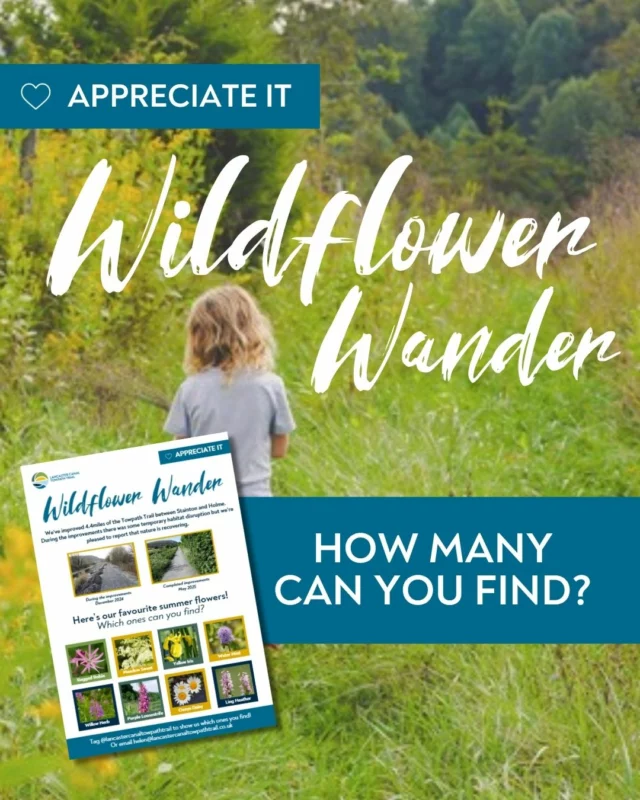 Since the canal towpath trail improvements last December, nature has bounced back stronger than ever and now’s the perfect time to get outside and see it for yourself.

We’re launching our brand new Wildflower Wander Bingo Card to help you discover just how many wildflowers are thriving along the Lancaster Canal Towpath Trail. There are still plenty to spot - and while May and June are the peak months, there’s always a new flower waiting round the bend!

Pick any stretch of the towpath - walk it, cycle it, paddle it - and take your bingo card with you. It’s a great way to get little ones noticing the nature around them.

Helen, our LCTT Project Manager, will be at the @naturalkendal stall at @kendal_farmers_markets on 11th July, ready to share the new Bingo Card and help you plan your own Wildflower Wander!

Plenty of flowers left to find. Plenty of routes to choose from. Plenty of good reasons to get out and enjoy the towpath trail this summer!

#LancasterCanalTowpathTrail #WildflowerWander #CanalLife #GetOutside #FamilyFriendly #NatureBingo #NaturalKendal