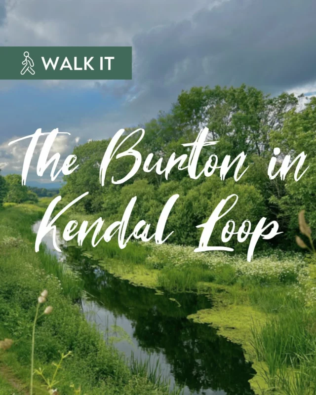 Looking for a new walk to explore away from the crowds of the Lake District?

The Burton-in-Kendal Loop Walk is a beautiful 6.5-mile walk that weaves together a short stretch of the Lancaster Canal Towpath Trail, the historic village of Burton-in-Kendal, peaceful woodland and stunning crags.

Starting near the Cinderbarrow Miniature Railway, you’ll wander under canal bridges, amble through fields and explore hidden footpaths - keep your eyes peeled for wildlife along the way!

📍 Distance 6.46 miles
⏰ About 2 hours 40 mins
🥾 Moderate difficulty with mixed terrain (walking boots recommended - some sections can get muddy!)

The M6 runs close to the first section, so pop on your headphones and set your own soundtrack for the adventure.

Arrive by bus, car or even add it as a stop on a longer Towpath Trail outing - this loop is all about discovering new corners of our canal-side countryside.

Head over to our website "Walk It" page for the full trail map and guide.

#LancasterCanalTowpathTrail #BurtonInKendal #KendalWalks #Kendal #Cumbria #WhatsOnKendal #ExploreMore #LancasterCanal #WoodlandWalks